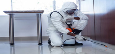 Commercial Pest Control Service