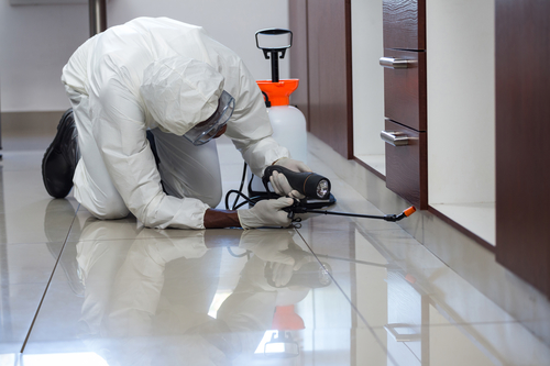 Commercial Pest Control Services