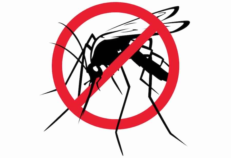 Mosquito Pest Control Services